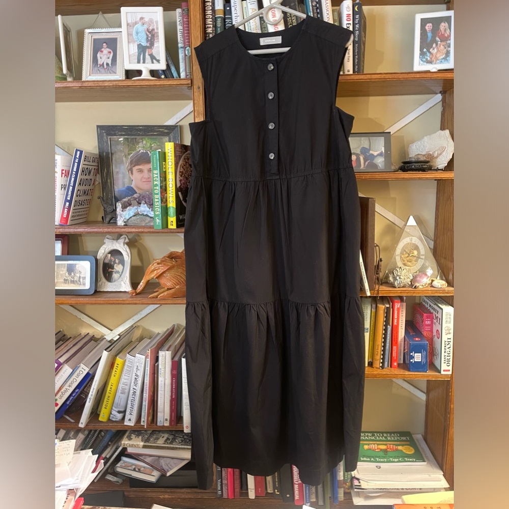Everlane Dress